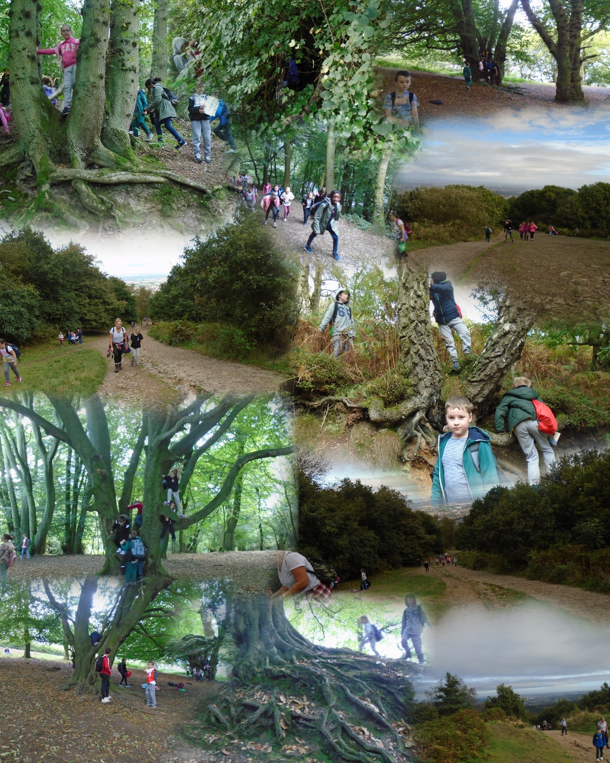 The wrekin trip_AutoCollage_12_Images_2.jpg