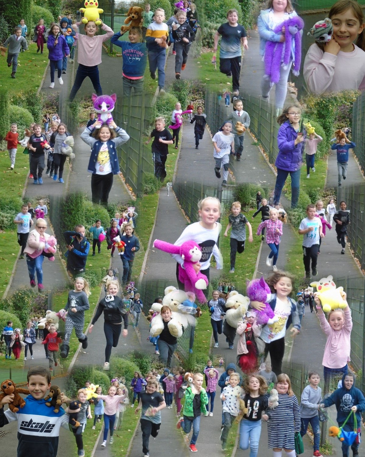 teddy run 2 portrait_AutoCollage_29_Images.jpg (1)